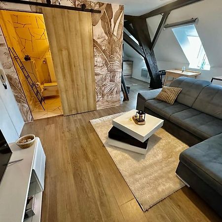 Logement Entier Au Coeur De Strasbourg Extérieur photo
