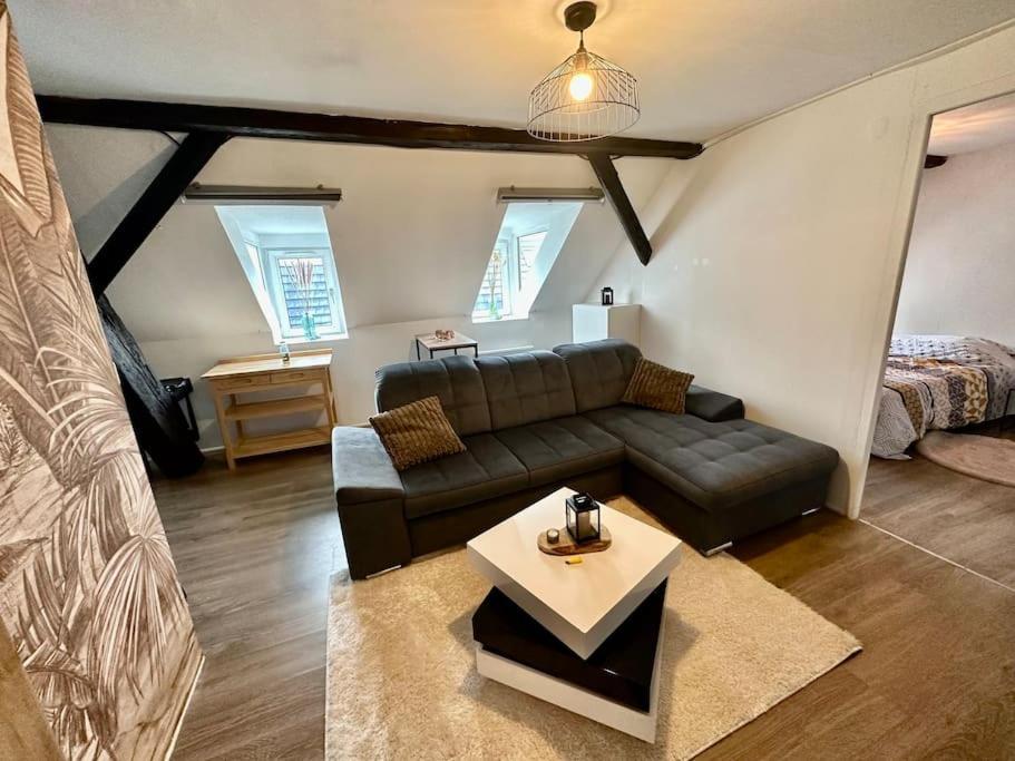 Logement Entier Au Coeur De Strasbourg Extérieur photo